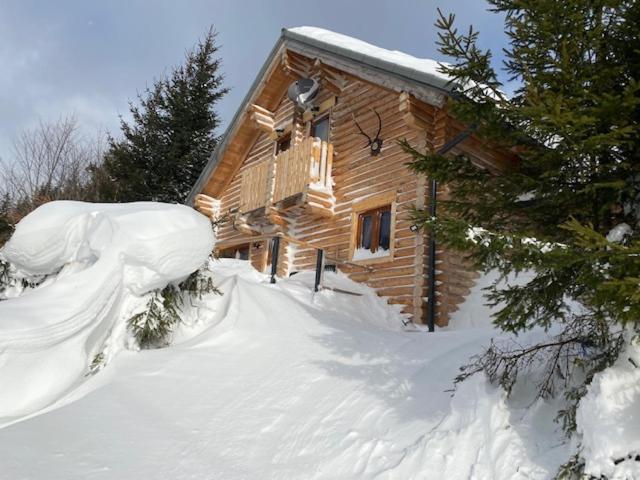 Alpenchalet Grabner Alm Am Praebichl Almhauser Exterior foto